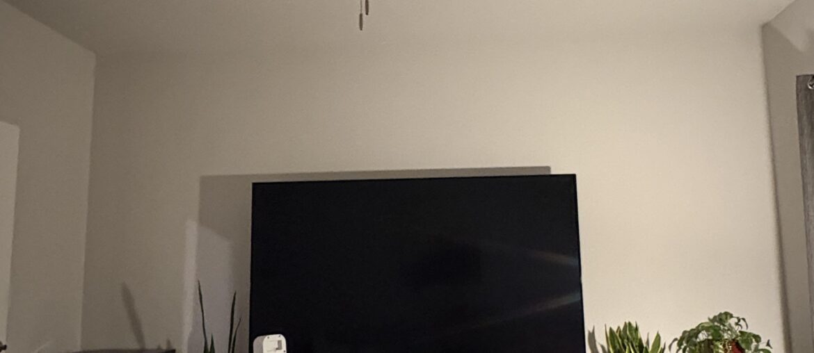 What color/pattern should I make my entertainment center?