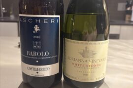 Ascheri Coste & Bricco 2010. Catena Zapata White Stones 2022