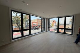 Advice on Window Treatments