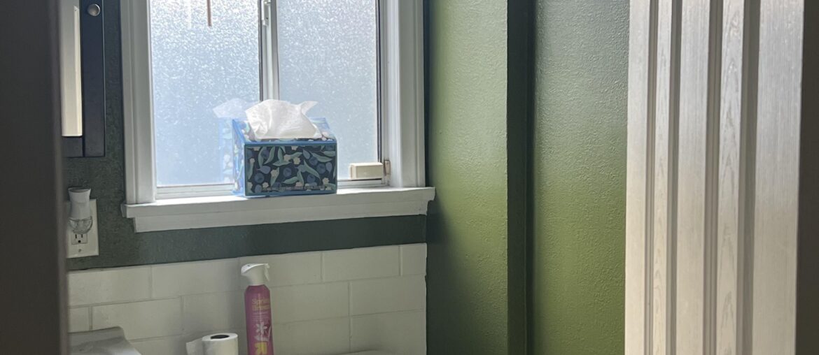 What color shower curtain should I get (considering the wall color and floor pattern)?