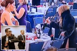 Woman seen snatching wine bottles in aftermath of White House Correspondents' Dinner shooting