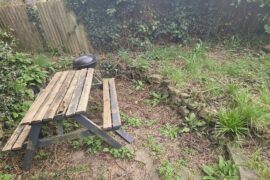 Ideas for fire pit area