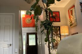 I HATE boob lights!!