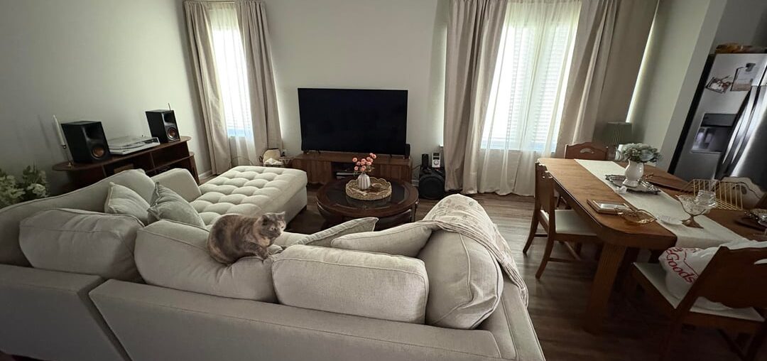 Need help with living room/dining area Need help with living room/dining area