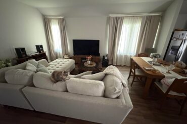 Need help with living room/dining area