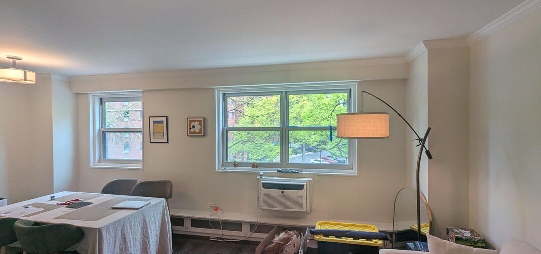 Need advice for curtains/blinds