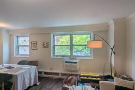 Need advice for curtains/blinds