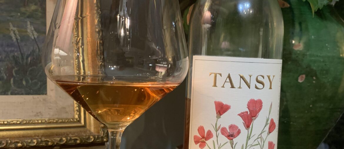 Tansy Aglianico Rose 2023