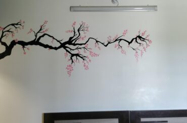 Painted a bedroom wall