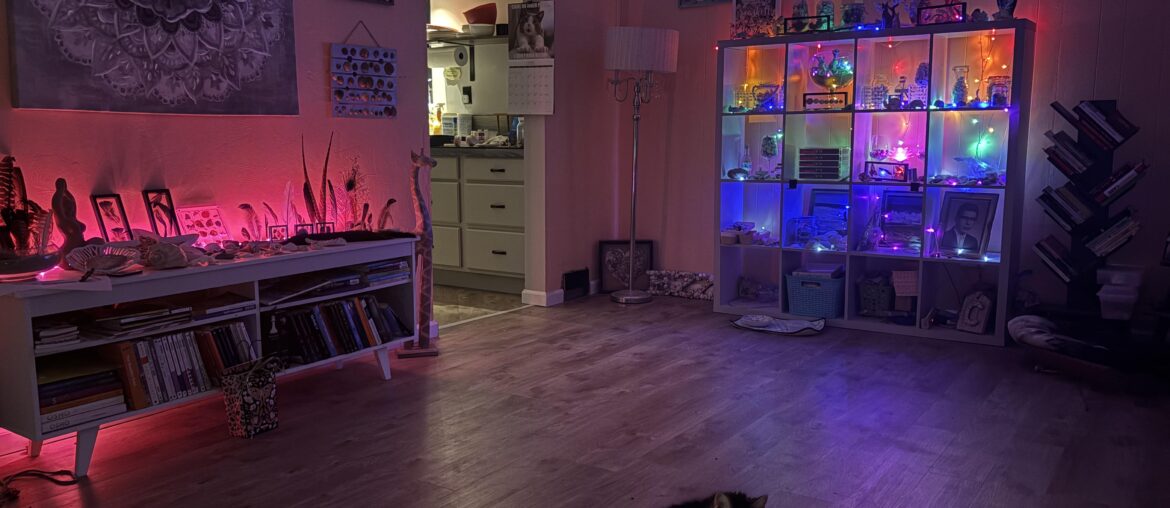 I turned my living room into my seashell, feather and trinket room💜