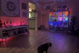 I turned my living room into my seashell, feather and trinket room💜