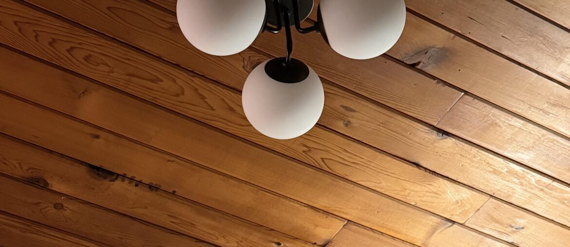 Renter friendly way to improve this ceiling light?