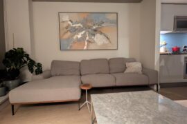 My milenial grey living room needs help. Advice?