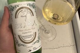 Trying a 北海道ワイン (Hokkaido Winery) - Shiroi Koibito Park Original Wine