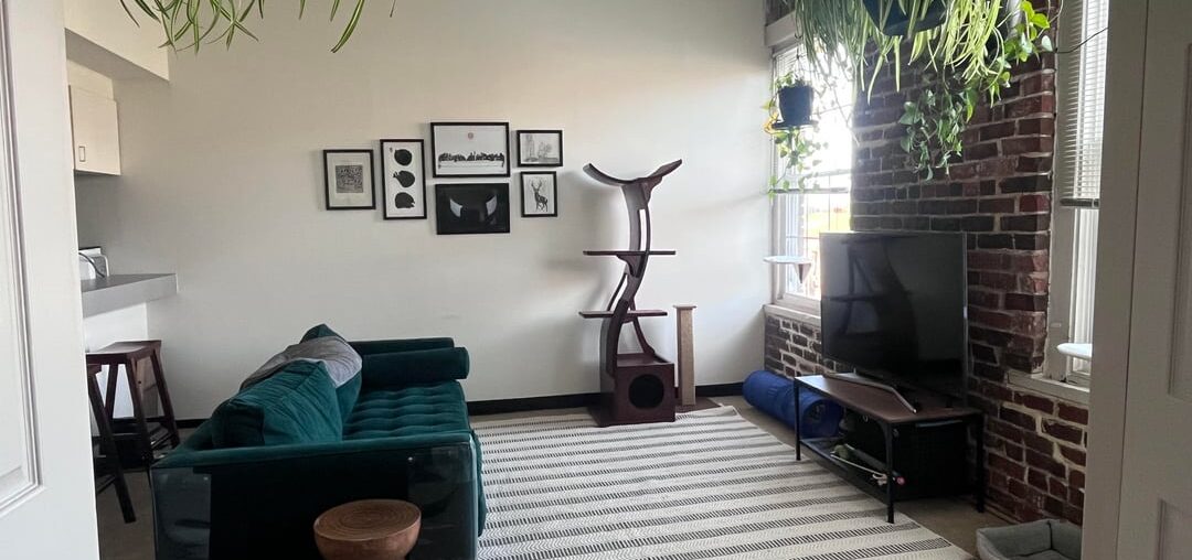 Which rug option do you like best?