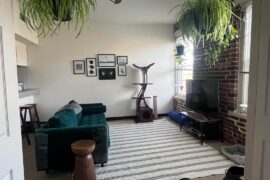 Which rug option do you like best?