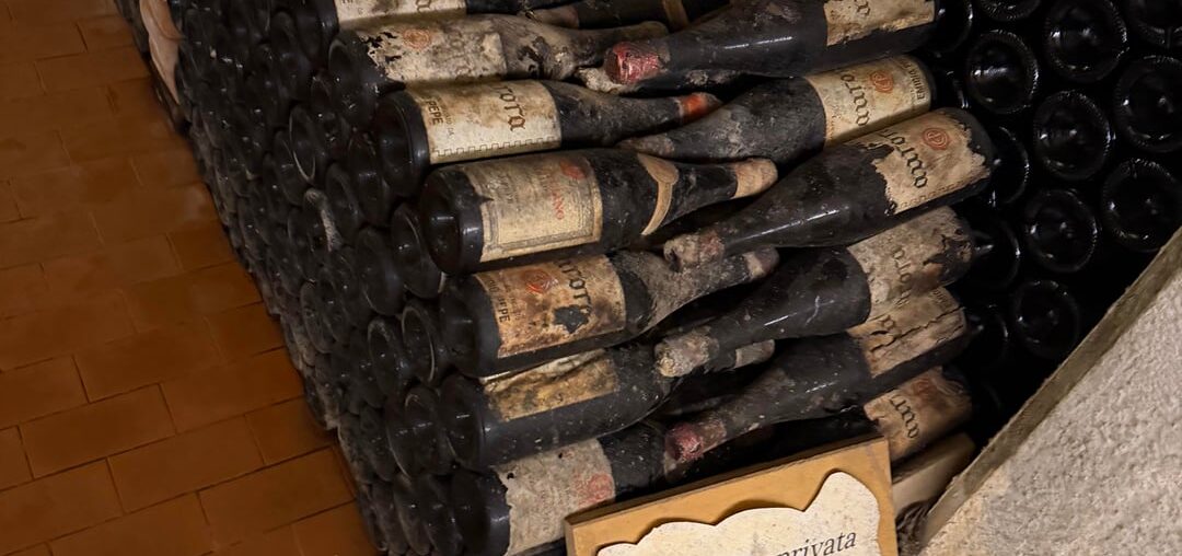 I visited Emidio Pepe in Abruzzo, Italy