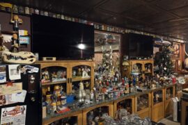 The backbar makes the bar. With my bar, 80% of everything you see is 2nd hand materials.