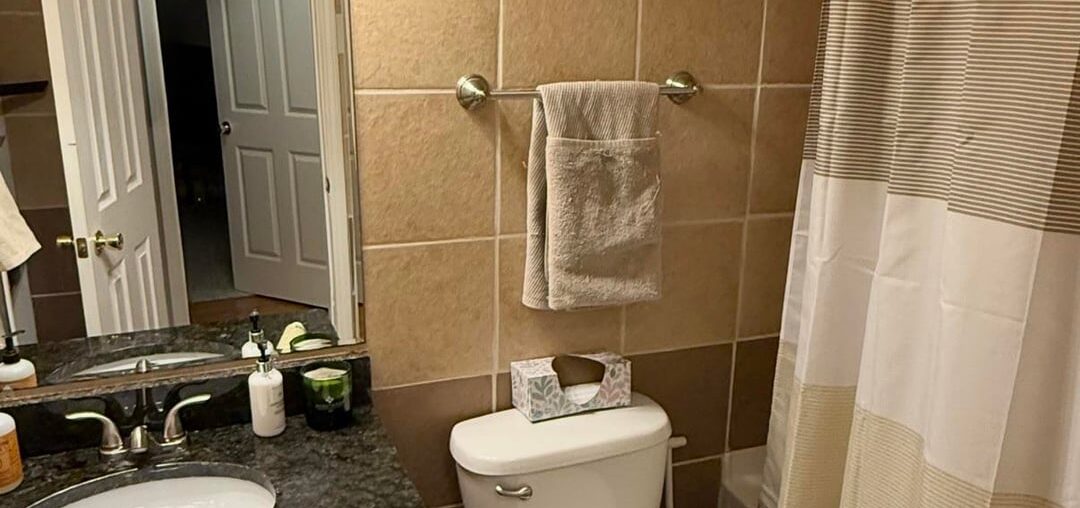 Painting Bathroom Tile Ideas