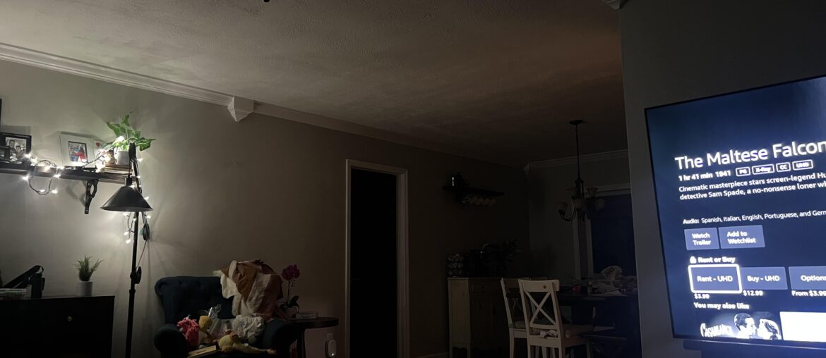 What is the point of these features in my crown molding?