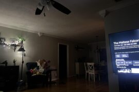 What is the point of these features in my crown molding?