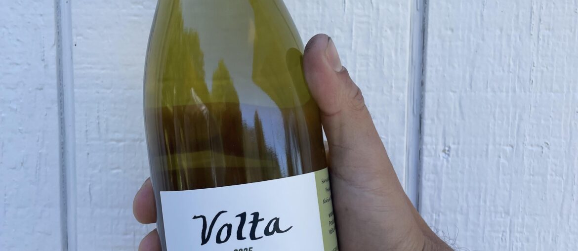 New world Palomino from an Old Vineyard