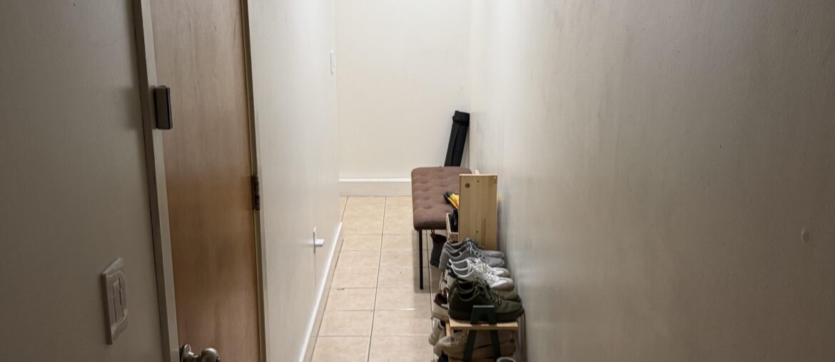 Anyone know where to buy 2’ x 10’ runners online?