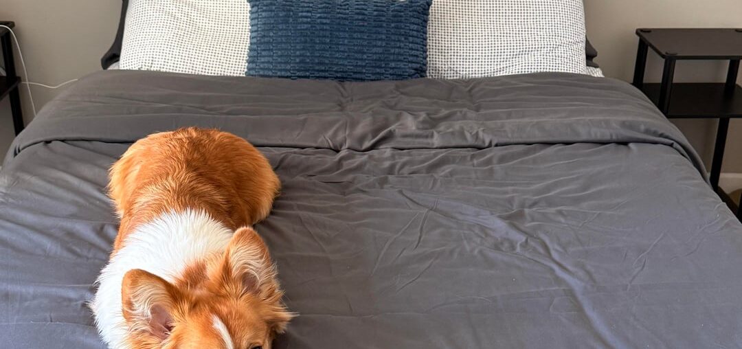 What kind of bed throw should I go for? What kind of bed throw should I go for?