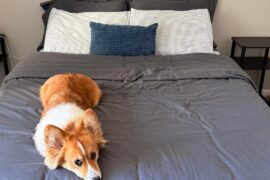 What kind of bed throw should I go for?