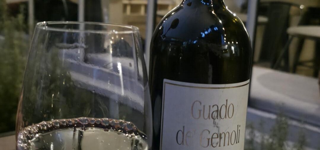 2009 Giovanni Chiappini Bolgheri Superiore Guado de'Gemoli