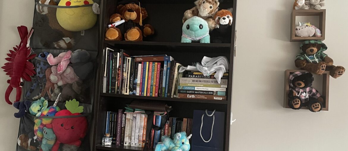 Ideas for stuffed animal storage?