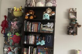 Ideas for stuffed animal storage?