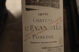 Looking for some opinions on these bottles