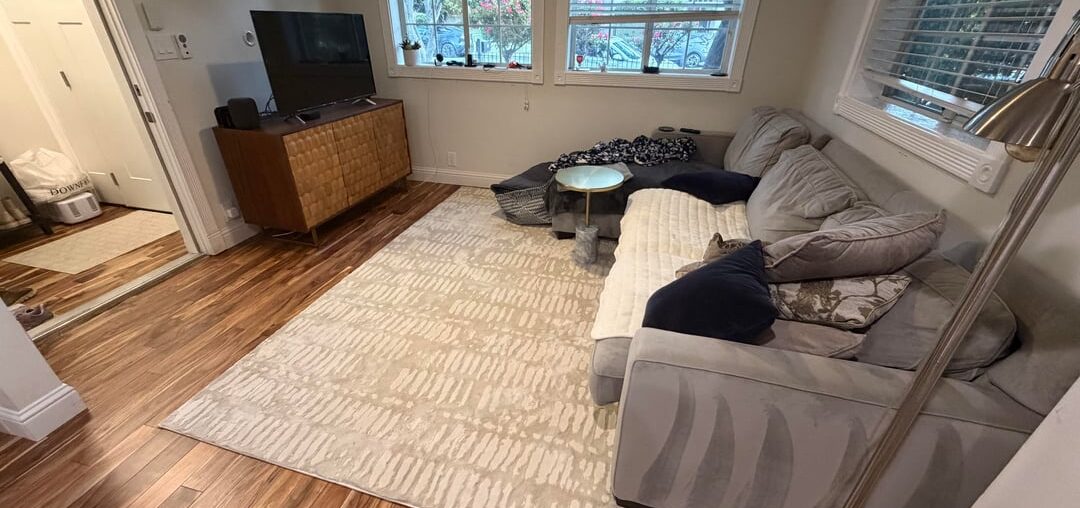 Weird rug situation