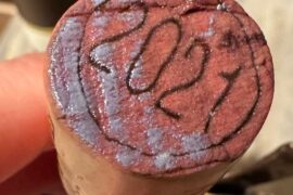 What is this blue stuff???