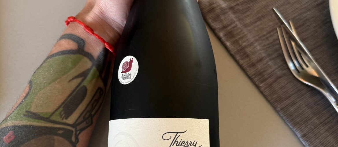 Thierry Massin “Solera” Pinot Noir Extra-Brut, Côte des Bar — when the south of Champagne stops apologizing Thierry Massin “Solera” Pinot Noir Extra-Brut, Côte des Bar — when the south of Champagne stops apologizing