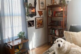 My Thrifted Living Room