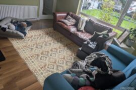 Rug size?