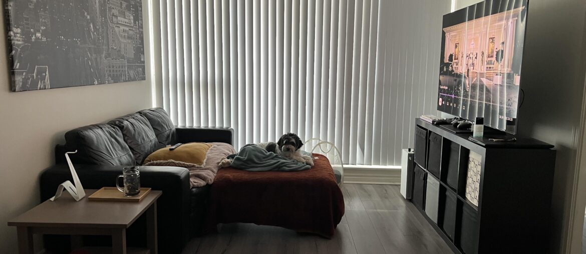 I feel like there is something missing. How would you decorate this room differently?