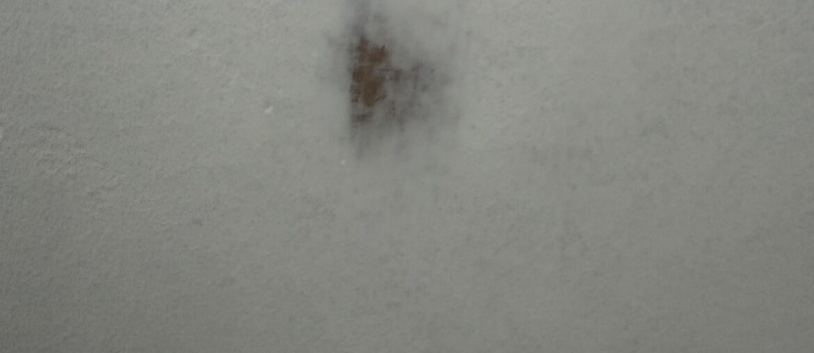 Omg help me please im literally going to cry!!!