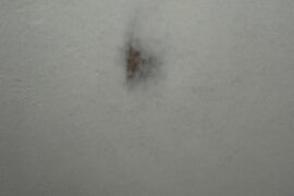 Omg help me please im literally going to cry!!!