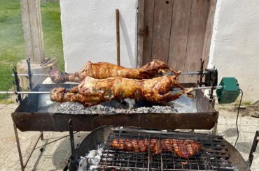 One lamb is not enough!