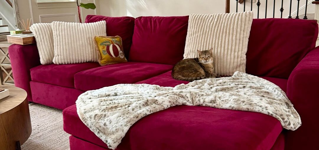 Getting new barstools, couch, and paint color. Help!