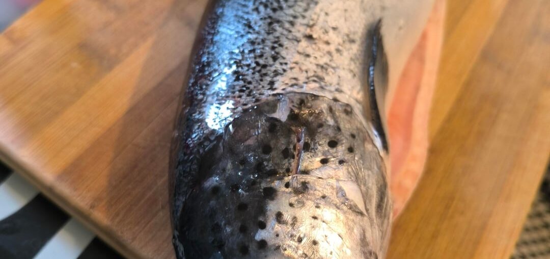 J'ai acheté un saumon entier.