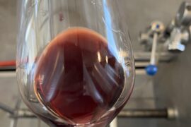 Wanna guess the varietal..