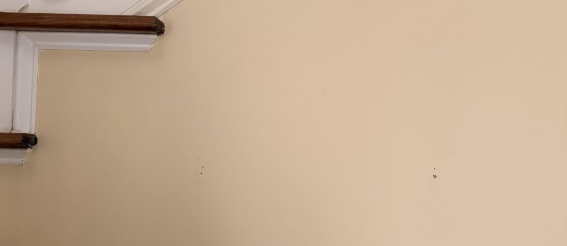 Mirror, painting or decorative object? Mirror, painting or decorative object?