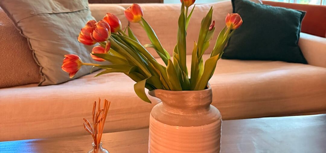 I’ve been gradually working on this room since we moved in a year ago. Feedback appreciated!