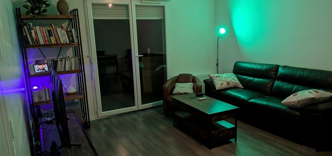 Living room decor advice – First time living alone!