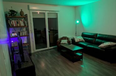 Living room decor advice – First time living alone!