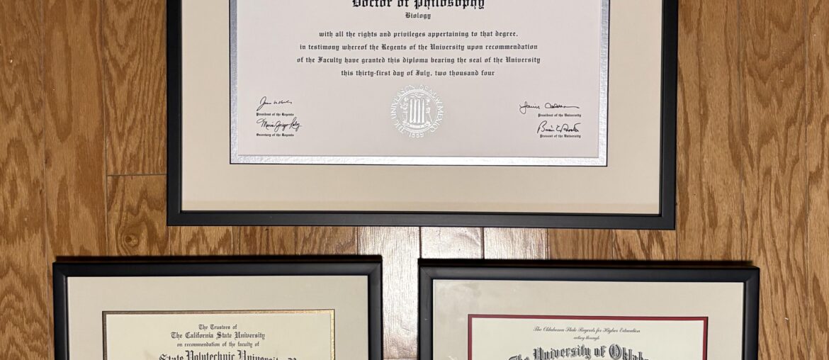 Best way to arrange these on a wall?